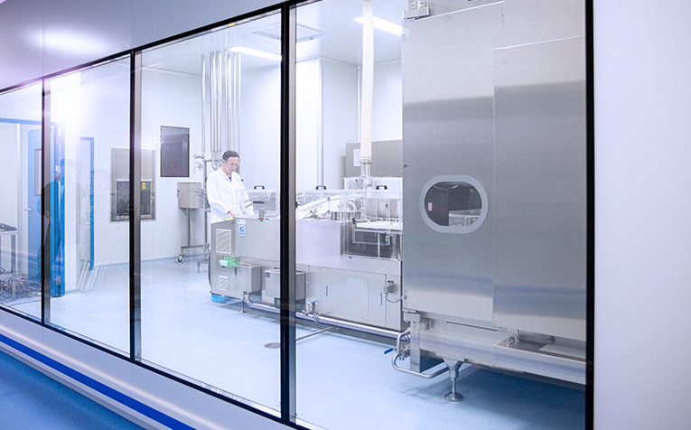 Cleanroom Windows